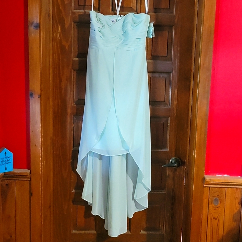 Bridemaids dress- David's Bridal